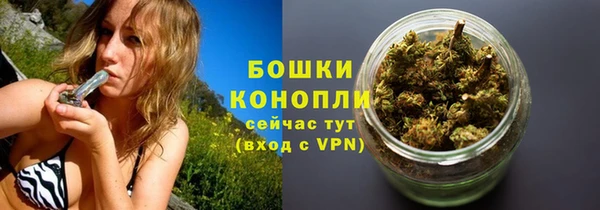 дмт Богданович