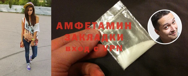 дмт Богданович