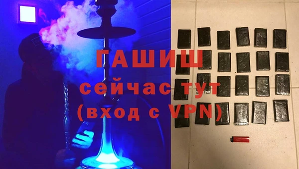 дмт Богданович