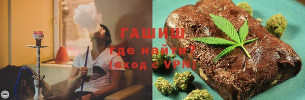 дмт Богданович