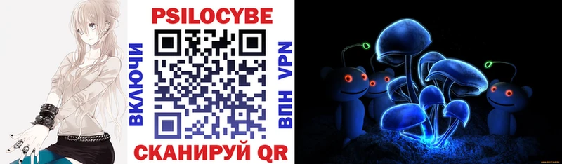 Купить где  Навашино  Псилоцибиновые грибы мицелий 